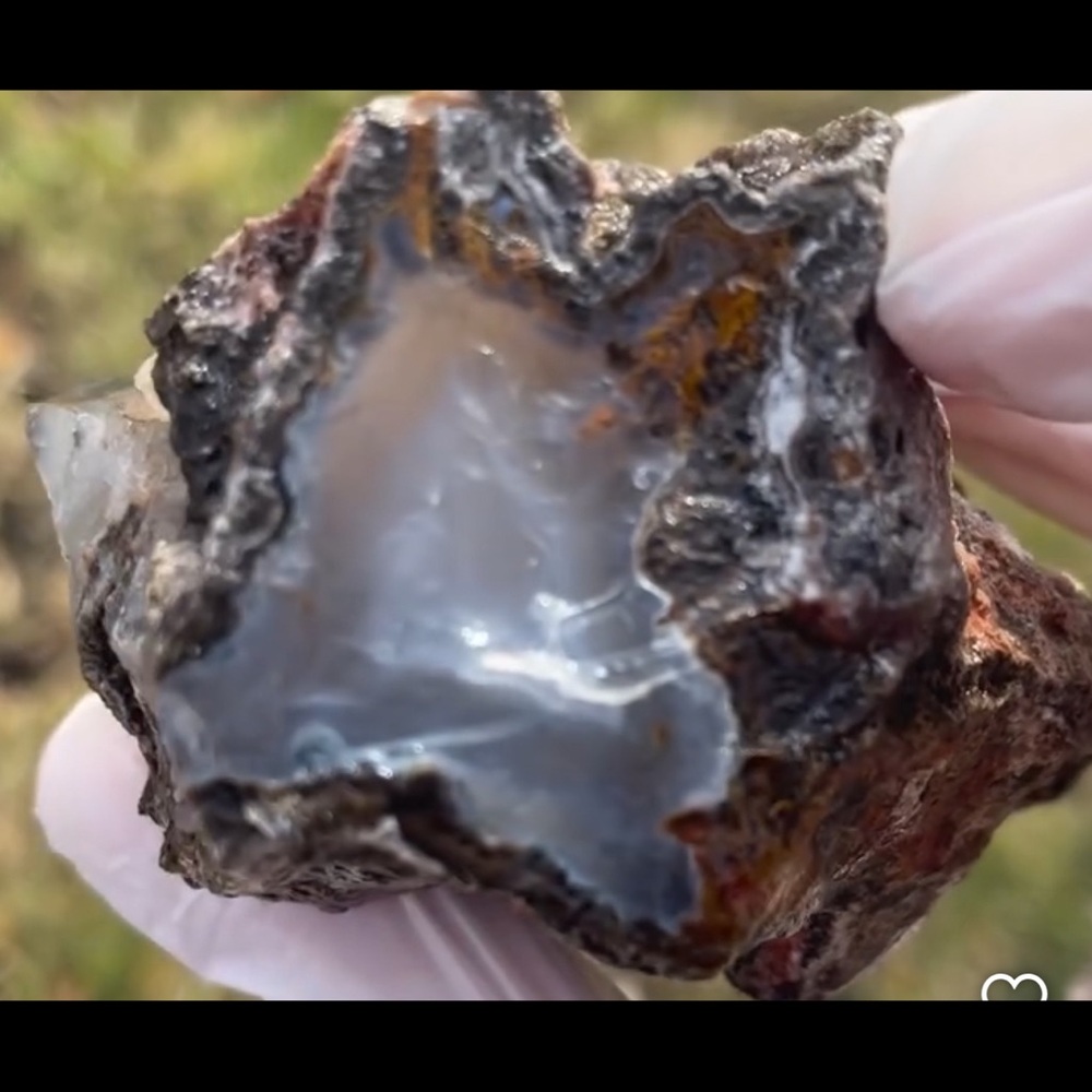 Self collected double window limbcast / Calandria agate from Chihuahua Mx